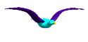 aves24.gif