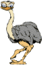 avestruz01.gif