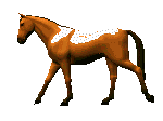 caballo126.gif