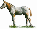 caballo139.gif