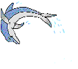 delfin24.gif