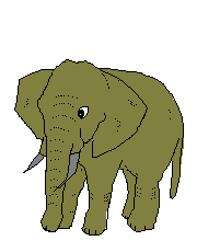 elefante16.gif