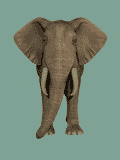 elefante36.gif