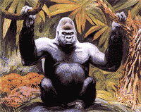 gorilas09.gif