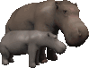 hippopotamo08.gif