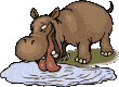 hippopotamo25.gif