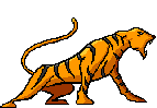 jaguar02.gif