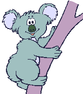koala12.gif