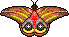 mariposa11.gif