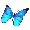 mariposa36.gif