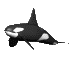 orca02.gif