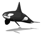 orca10.gif