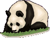 panda20.gif