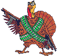 pavo26.gif