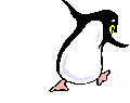 pinguino14.gif