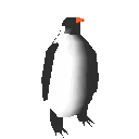 pinguino19.gif