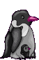 pinguino39.gif