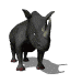 rinoceronte03.gif