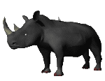rinoceronte04.gif