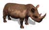 rinoceronte05.gif