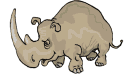 rinoceronte06.gif