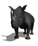 rinoceronte08.gif