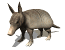 tapir01.gif