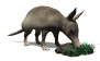 tapir02.gif