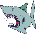 tiburon13.gif