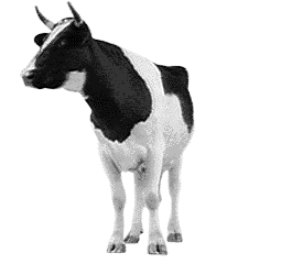 vaca119.gif