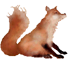zorro19.gif