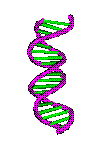 ADN-10.gif