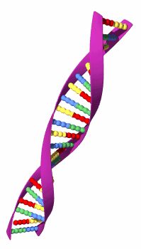 ADN-18.gif