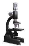 Microscopio-03.gif