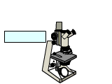 Microscopio-04.gif