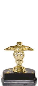 Premio-Oscar-06.gif