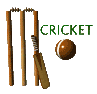 Cricket-03.gif