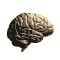Cerebro-14.gif