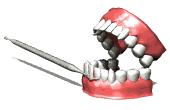 Dentista-04.gif