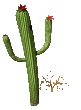 Cactus-06.gif