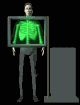 Radiografia-12.gif