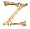 Alfabeto-huesos-25.gif