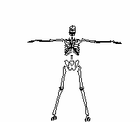 Esqueleto-02.gif