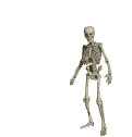 Esqueleto-04.gif