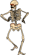 Esqueleto-07.gif