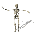 Esqueleto-14.gif