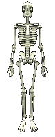 Esqueleto-30.gif