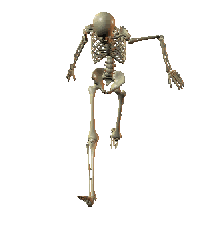 Esqueleto-32.gif