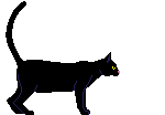 Gato-negro-02.gif