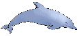 delfin02.gif